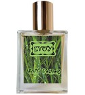 Soft Vetiver EVOY