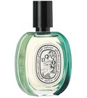 Do Son Limited Edition Diptyque