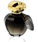 parfém Black