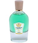 Fortune Celebon