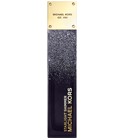Starlight Shimmer Michael Kors