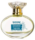 Gelsomino Supremo L'Amande