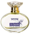 Iris Supremo L'Amande