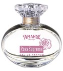 Rosa Suprema L'Amande