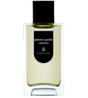 Pierre Cardin Collection Cedre-Ambre Pierre Cardin