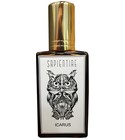 Ícarus Sapientiae Niche