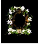 Flowers Nocturnal Solstice Scents