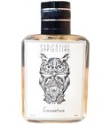 Cocoventura Sapientiae Niche