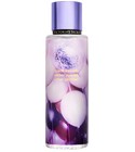 Vanilla Remix Victoria's Secret