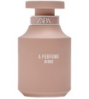 A Perfume In Rose Zara