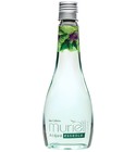 parfém Acqua Essence Alfazema
