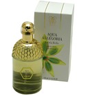 Aqua Allegoria Anisia Bella Guerlain