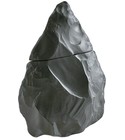 Dark Neandertal
