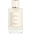 Lavanda Chloé