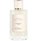Iris Chloé perfume - a fragrance for women and men 2021