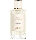 Rosa Damascena Chloé