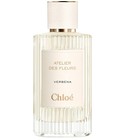 Verbena Chloé