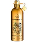 parfém Bengal Oud