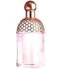 Aqua Allegoria Cherry Blossom Guerlain