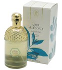 parfém Aqua Allegoria Mentafollia