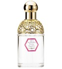 parfém Aqua Allegoria Pivoine Magnifica
