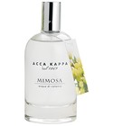 Mimosa Acca Kappa