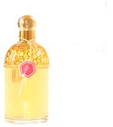 Aqua Allegoria Winter Delice Guerlain