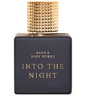 Into the Night Bath & Body Works
