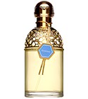 Aqua Allegoria Gentiana Guerlain