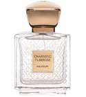 Charming Tuberose Majouri