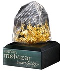 Smart Goldskin Ramon Molvizar