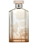 Stella Sheer 2009 Stella McCartney