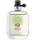 Fresh Citrus Avon