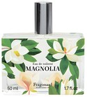 Magnolia Fragonard
