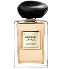 Gardénia Antigua Giorgio Armani