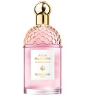 Aqua Allegoria Granada Salvia Guerlain