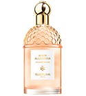 Aqua Allegoria Orange Soleia Guerlain