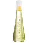 parfém Breeze Sândalo Fresh