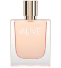 hugo red fragrantica