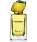 香水(ユニセックス) DOLCE & GABBANA Orange 150ml Dolce and Gabbana Fruit Collection Orange Perfume - 5 oz.