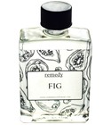 parfém Fig