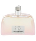 parfém Scent Cool Gloss