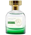 Magnolia en Fleurs  Avon