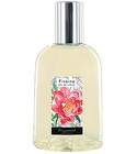 Pivoine Fragonard