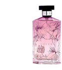 Sheer Stella 2006 Stella McCartney