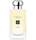 ジョーマローンOSMANTHUS BLOSSOM 100mL Amazon.com : Jo Malone London Osmanthus Blossom Cologne 3.4