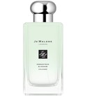 parfém Osmanthus Cologne