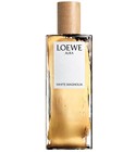 Loewe Aura White Magnolia Loewe