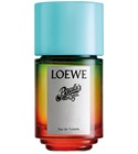 Paula's Ibiza Loewe