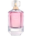 Daily New Brand Parfums